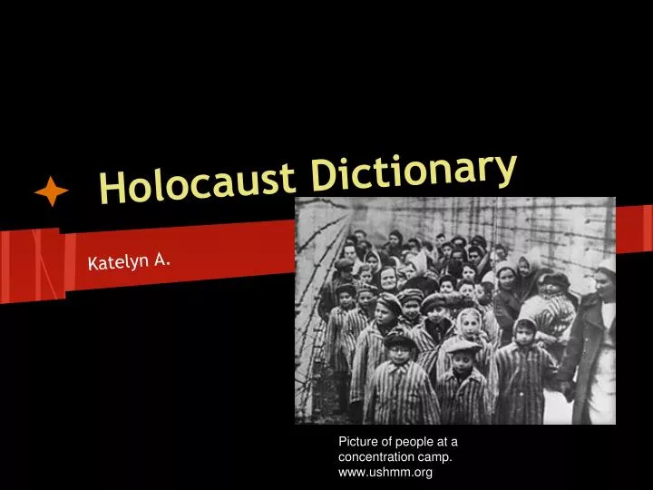 holocaust dictionary