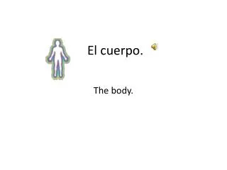 el cuerpo