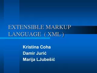 EXTENSIBLE MARKUP LANGUAGE ( XML )