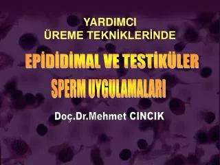 yardimci reme tekn kler nde