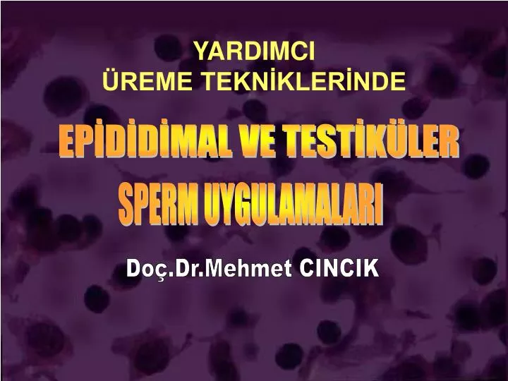 yardimci reme tekn kler nde