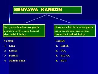 senyawa karbon