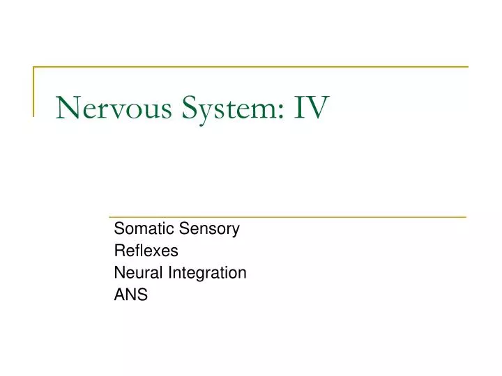 nervous system iv