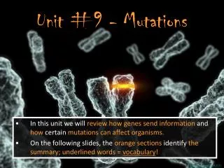 Unit #9 - Mutations