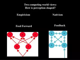 Two competing world views: How is perception shaped?