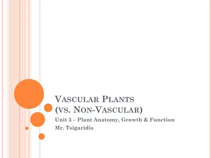vascular plants vs non vascular