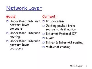 Network Layer