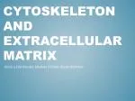 Cytoskeleton and Extracellular Matrix