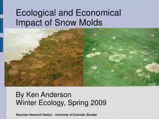 Ecological and Economical Impact of Snow Molds