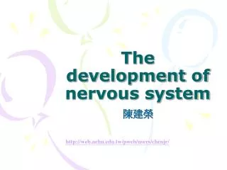 The development of nervous system