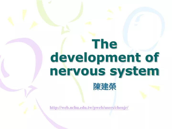 the development of nervous system