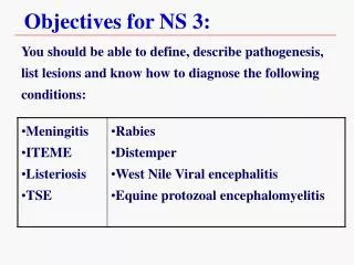 Objectives for NS 3: