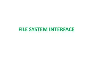 FILE SYSTEM INTERFACE