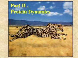 Part II . Protein Dynamics