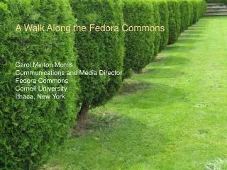 A Walk Along the Fedora Commons Carol Minton Morris Communications and Media Director