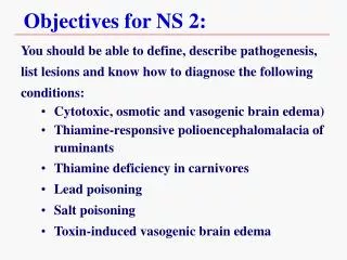 Objectives for NS 2:
