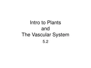 Intro to Plants and The Vascular System