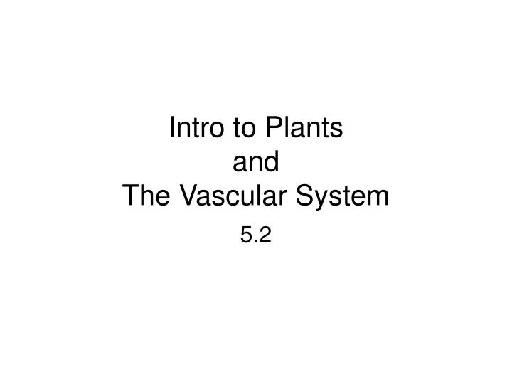intro to plants and the vascular system