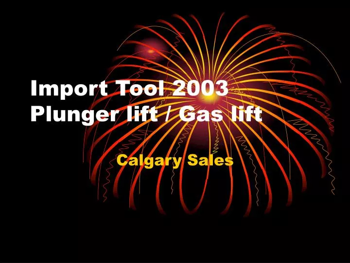import tool 2003 plunger lift gas lift