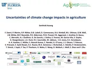 Uncertainties of climate change impacts in agriculture