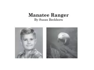 Manatee Ranger By Susan Beckhorn