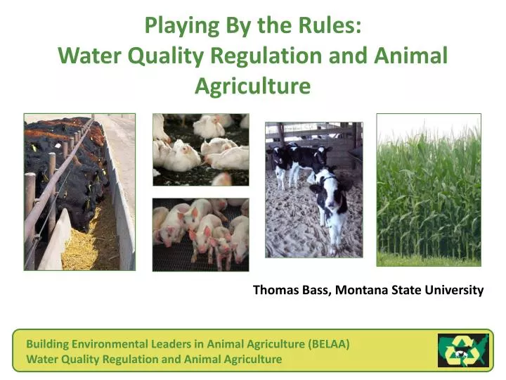 playing by the rules water quality regulation and animal agriculture