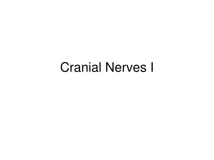 cranial nerves i