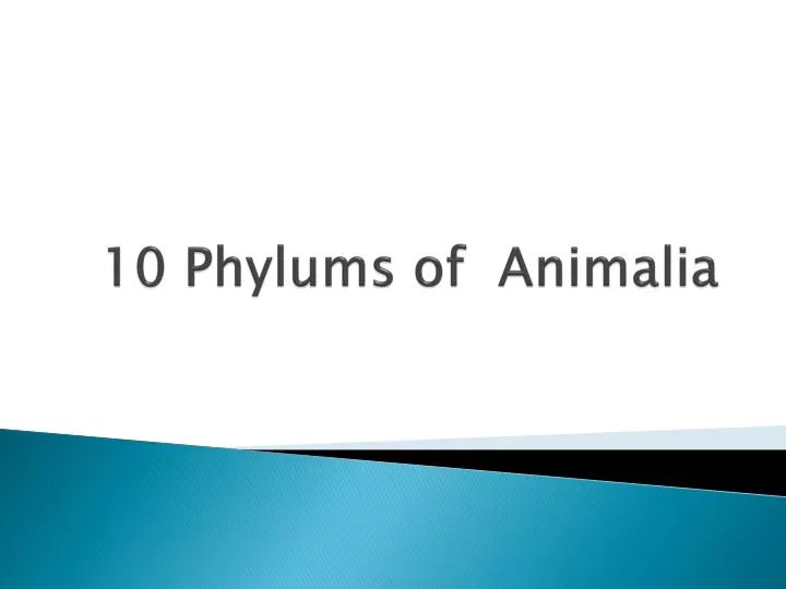 10 phylums of animalia