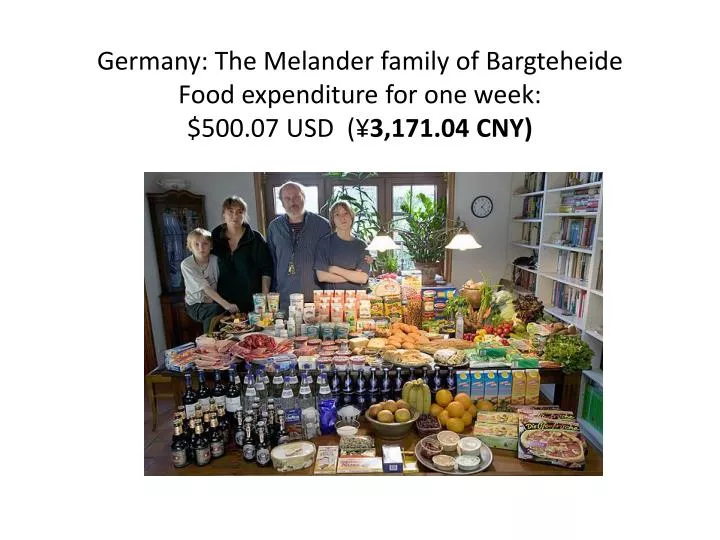 germany the melander family of bargteheide food expenditure for one week 500 07 usd 3 171 04 cny