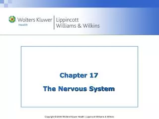 Chapter 17 The Nervous System