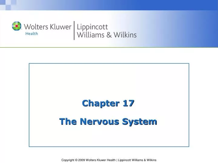 chapter 17 the nervous system