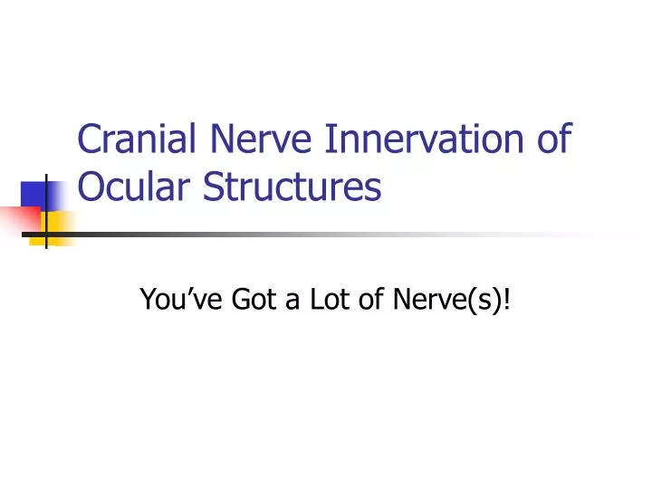 cranial nerve innervation of ocular structures