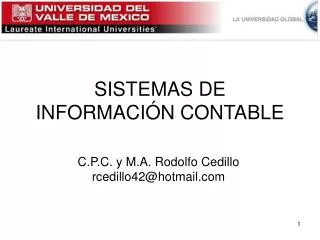 sistemas de informaci n contable