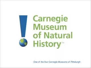 Carnegie Museum of Natural History