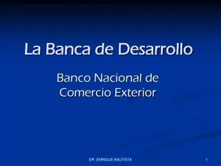 la banca de desarrollo
