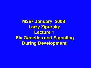 M267 January 2008 Larry Zipursky Lecture 1 Fly Genetics and Signaling During Development