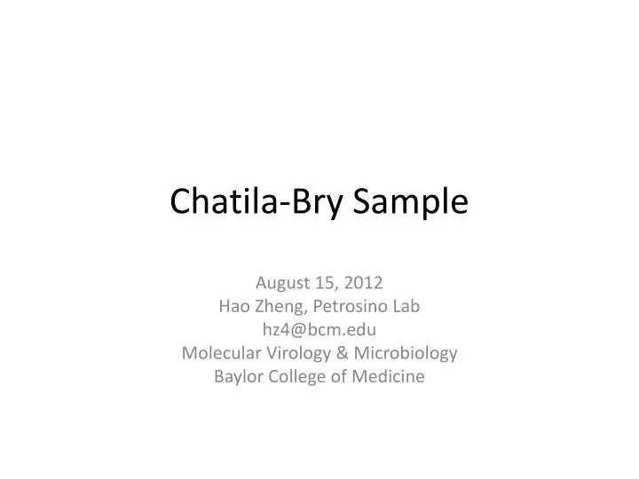 chatila bry sample