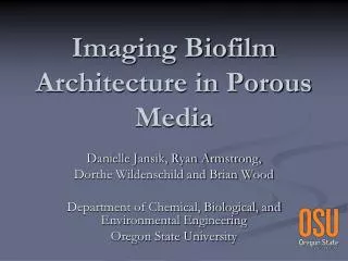 Imaging Biofilm Architecture in Porous Media