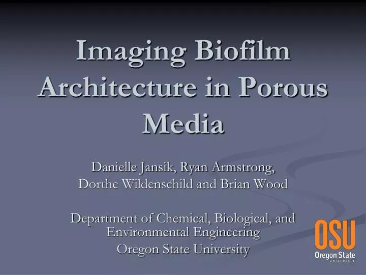 imaging biofilm architecture in porous media