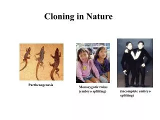 Cloning in Nature