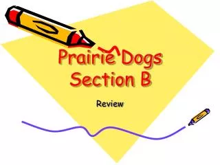 Prairie Dogs Section B