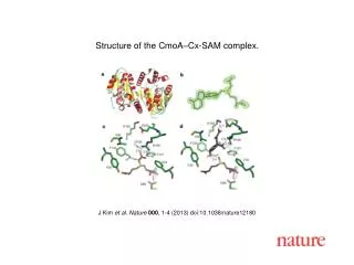 J Kim et al. Nature 000 , 1 - 4 (2013) doi:10.1038/nature 12180