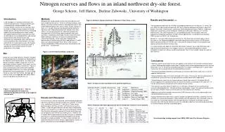 Nitrogen reserves and flows in an inland northwest dry-site forest.