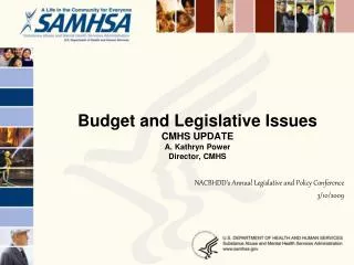 Budget and Legislative Issues CMHS UPDATE A. Kathryn Power Director, CMHS