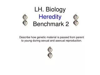 LH. Biology Heredity Benchmark 2