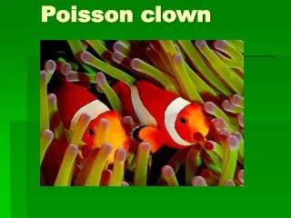 poisson clown