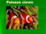 Poisson clown - slide 1