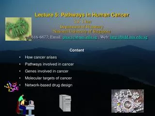 Content How cancer arises Pathways involved in cancer Genes involved in cancer