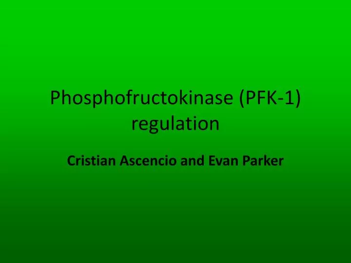 phosphofructokinase pfk 1 regulation