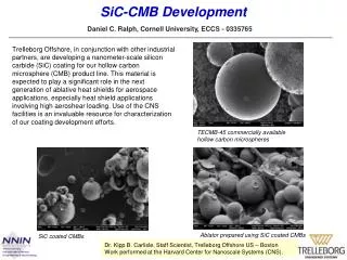 SiC -CMB Development